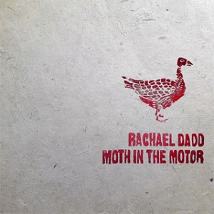 Rachael-Dadd-Moth-In-The-Motor