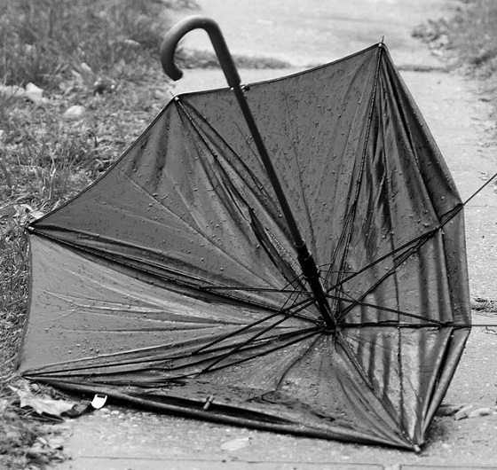 Broken Umbrella by Leslie Duss