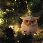 Christmas owl