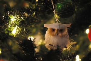 Christmas owl